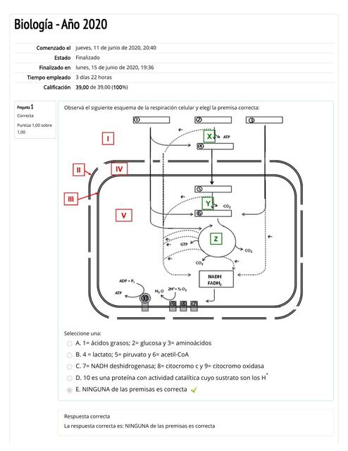 Autoevaluación de Respiración Celular