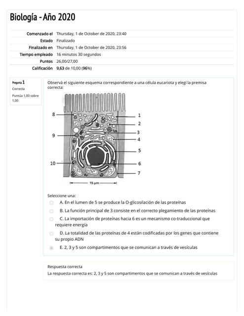 Autoevaluación de Célula Eucariota