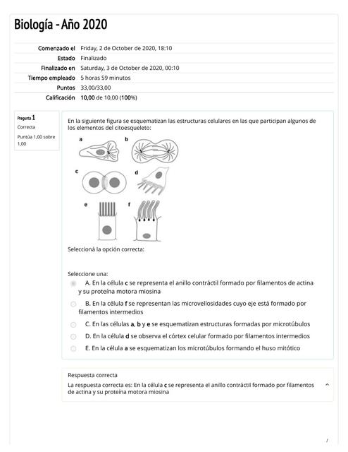 Autoevaluación de Estructuras Celulares 