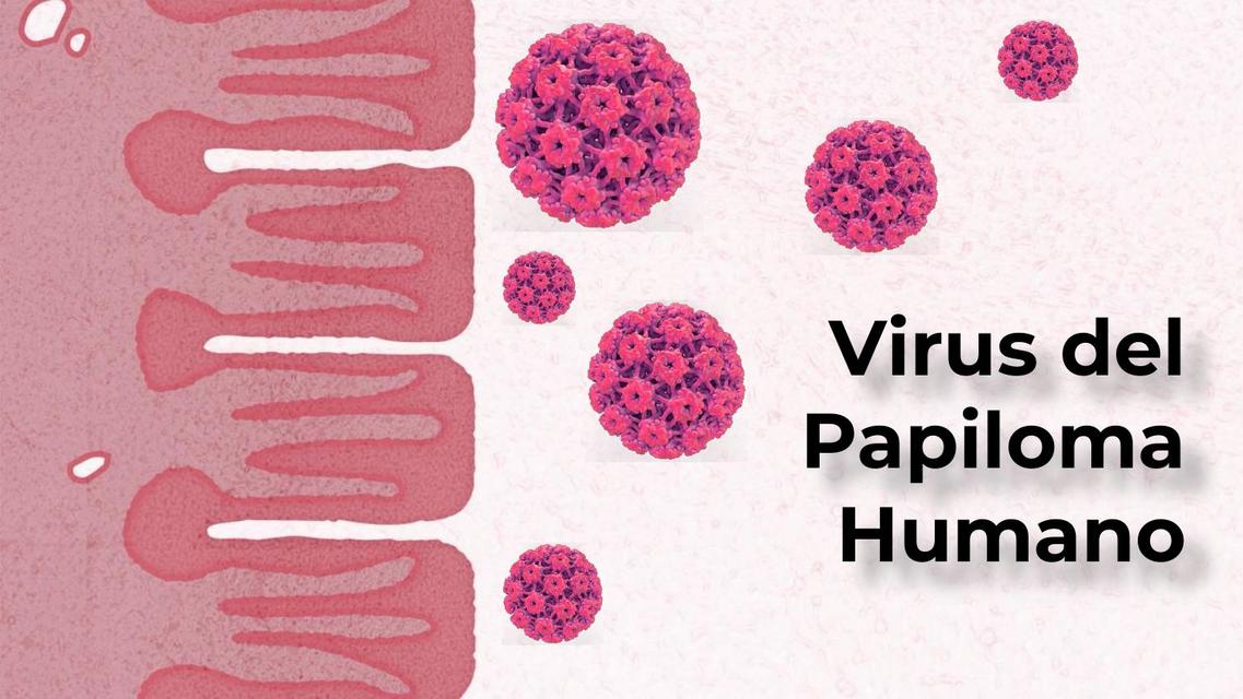 Virus del Papiloma Humano