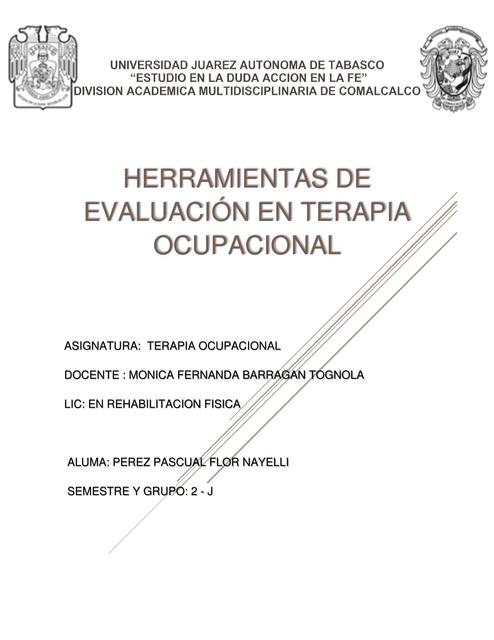 Herramientas de Evaluación en Terapia Ocupacional