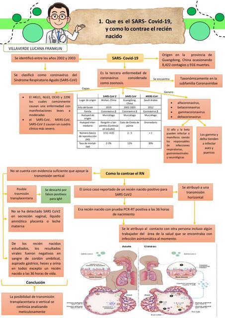 Qué es el SARS- Covid-19 y Cómo lo Contrae el Recién Nacido