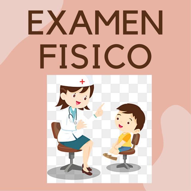 Resúmenes De Examen Físico General Descarga Apuntes De Examen Físico General 8527