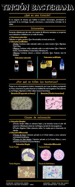 Tinción Bacteriana