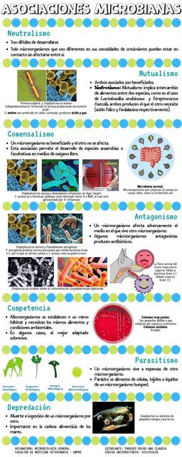 Asociaciones Microbianas