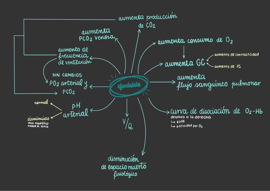 Adaptaciones Fisiológicas al Ejercicio