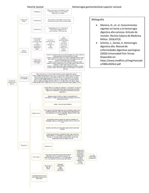 Hemorragia Gastrointestinal Superior Variceal 