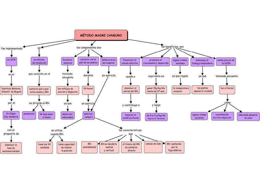 Mapa Conceptual de Madre Canguro