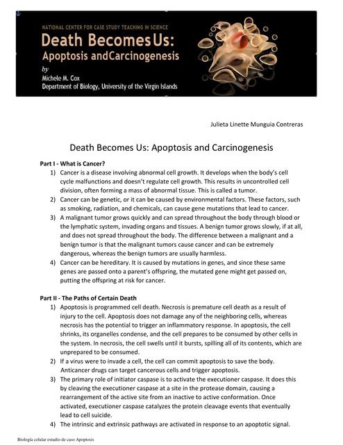 Apoptosis and Carcinogenesis 