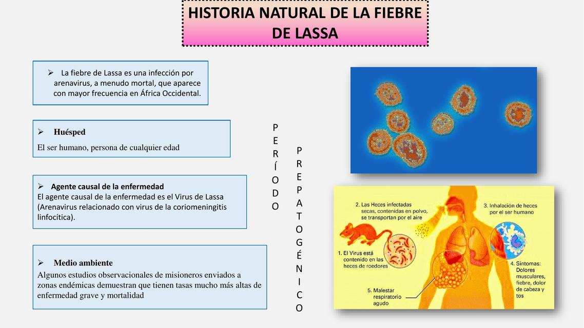 Fiebre de Lassa - Hantavirus