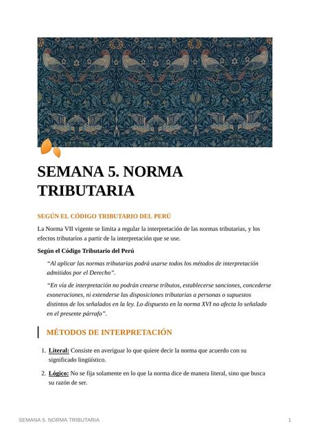 Norma Tributaria 