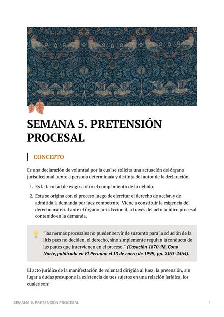 Pretensión Procesal 