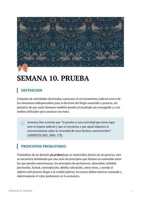 Prueba  en el Sistema Judicial