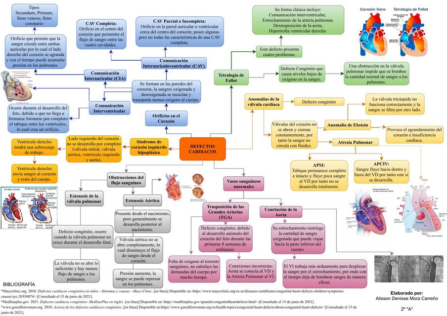 Defectos Cardiacos 