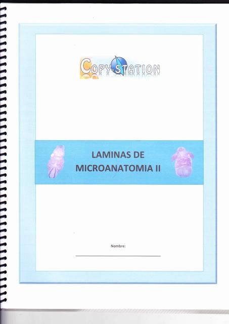 Láminas de Microanatomía 