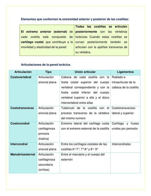 Pared Torácica Diafragma y Pulmones