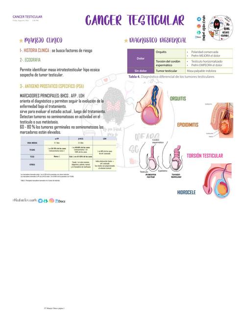 Cáncer Testicular