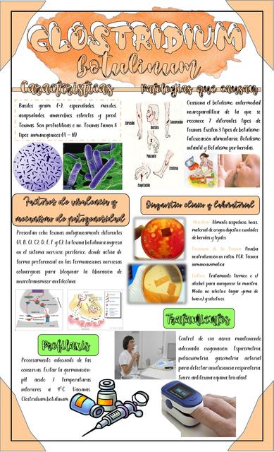 Clostridium Botulinum