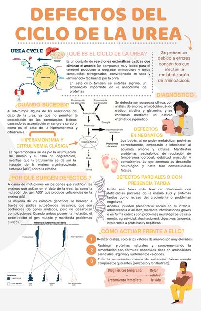 Defectos del Ciclo de la Urea 