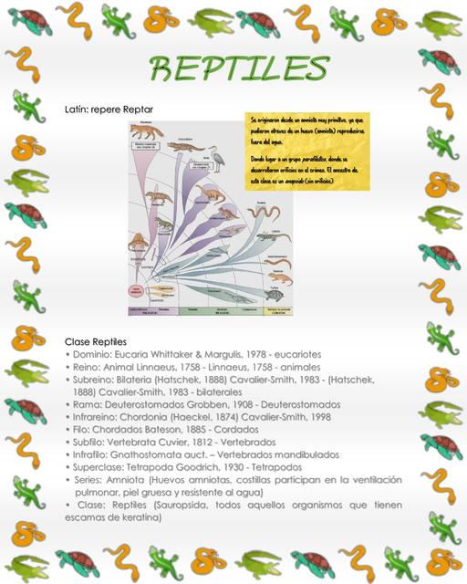 Reptiles 