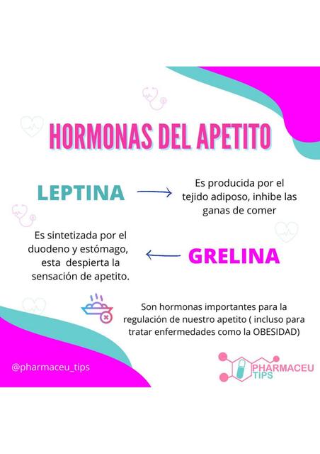 Hormonas del apetito