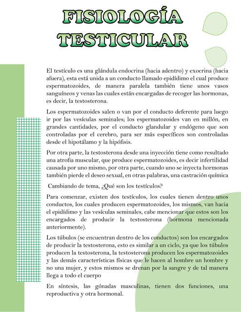 Fisiología Testicular