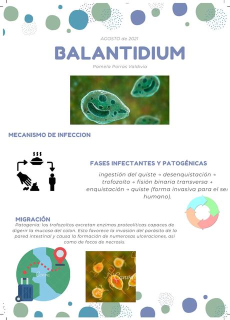 Balantidium