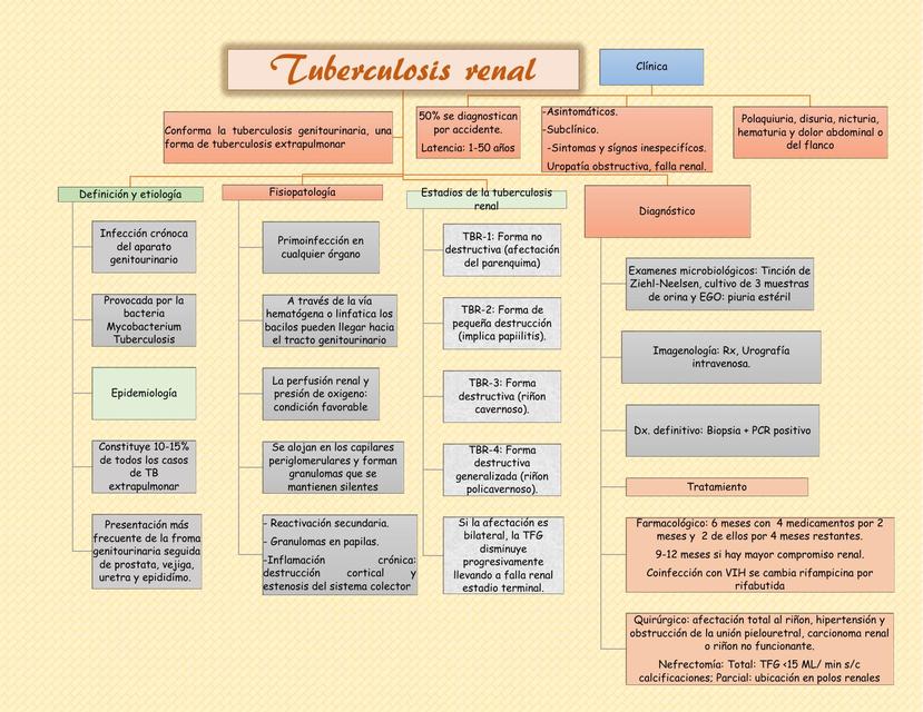 Tuberculosis Renal