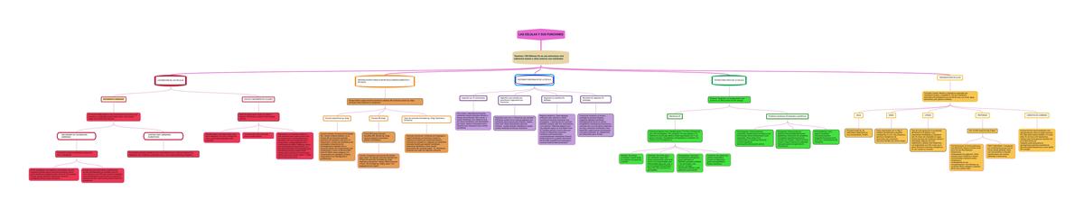 Las Células y sus Funciones 