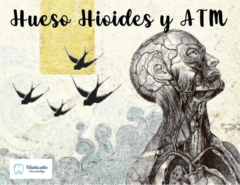 Hueso Hioides y ATM Articulación Temporomandibular