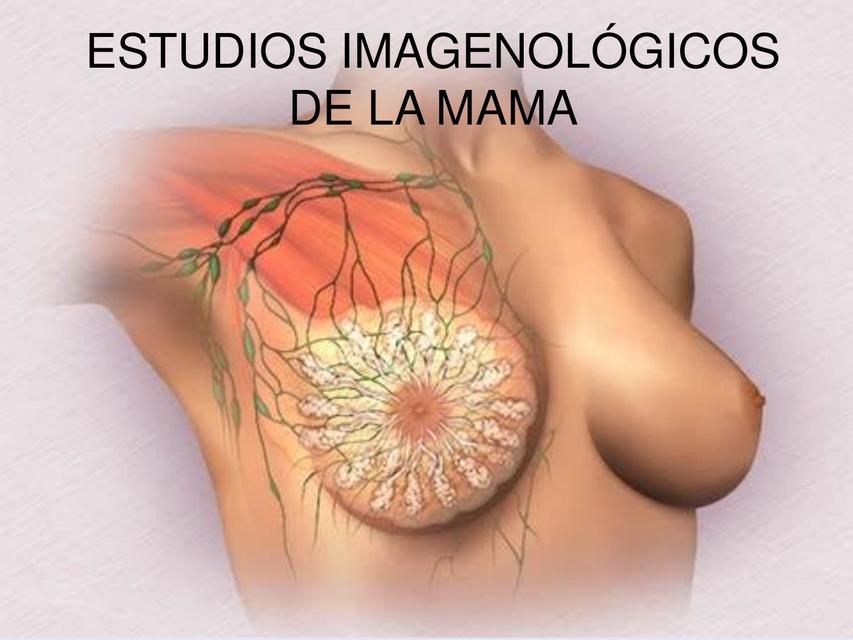 Estudios Imagenológicos de Mama