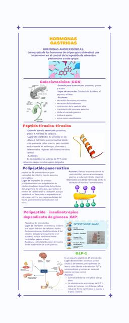 Hormonas Gastricas