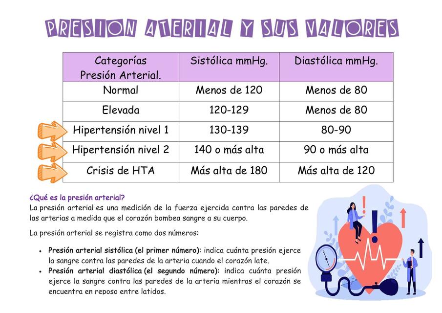 Presión Arterial y sus Valores 