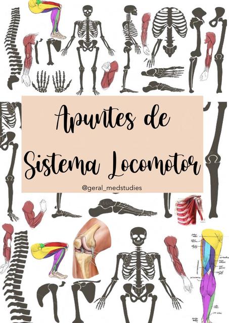 APUNTES SISTEMA LOCOMOTOR