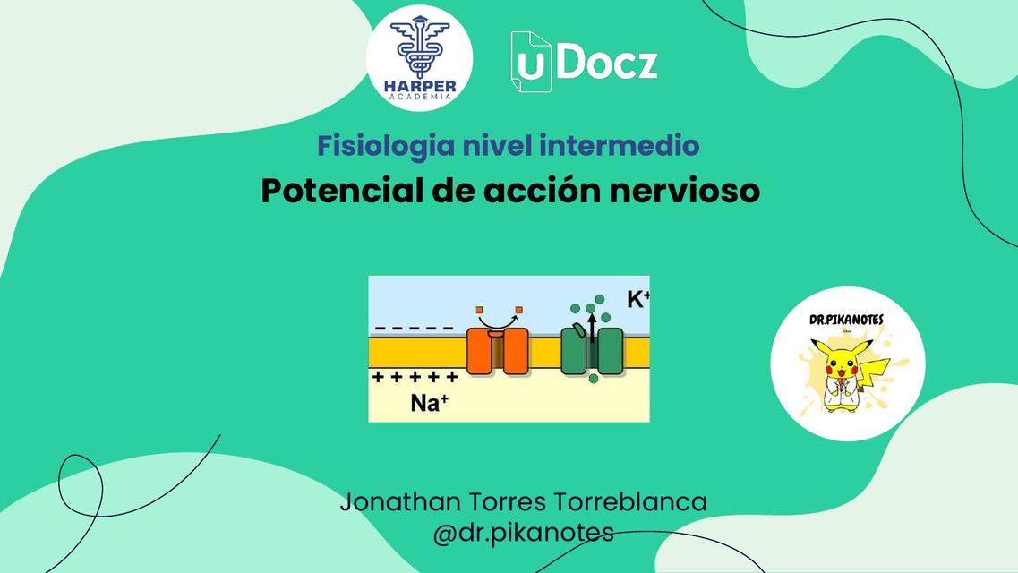 Potencial de acción neuronal