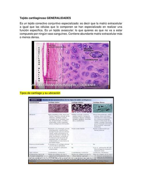 Tejido Cartilaginoso 