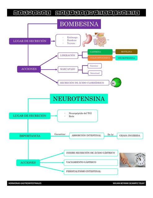 Hormonas Gastrointestinales 