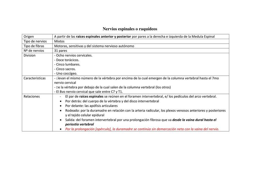 Nervios Espinales o Raquídeos
