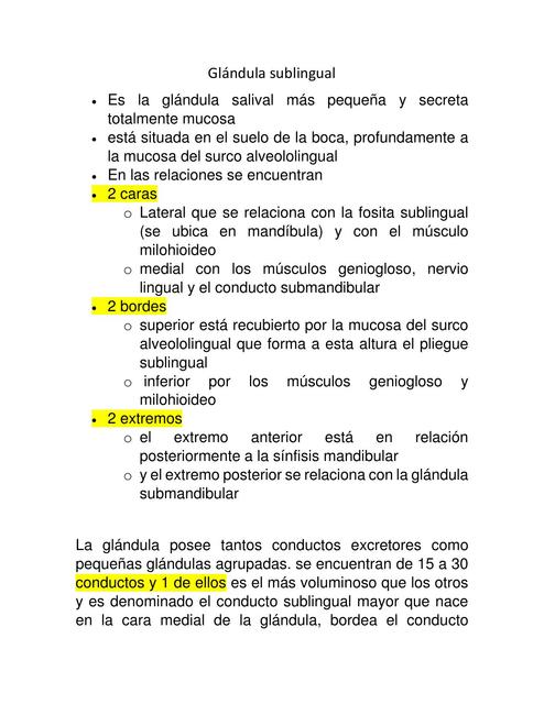 relaciones de las glándulas sublinguales