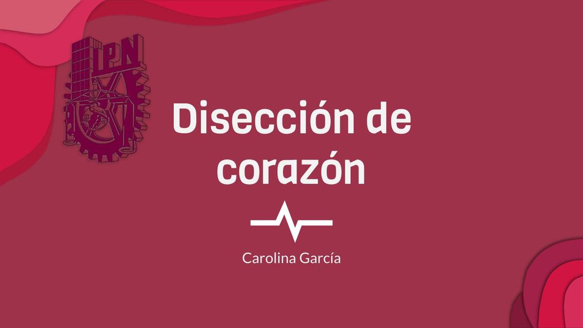 Disección de Corazón