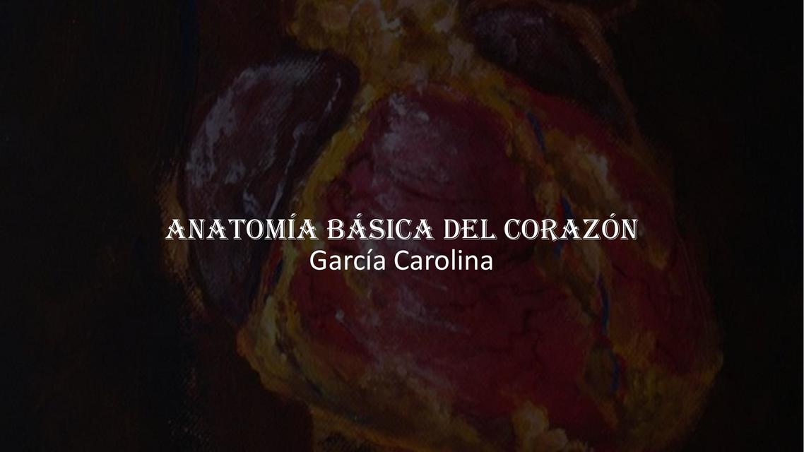 Anatomía Básica del Corazón