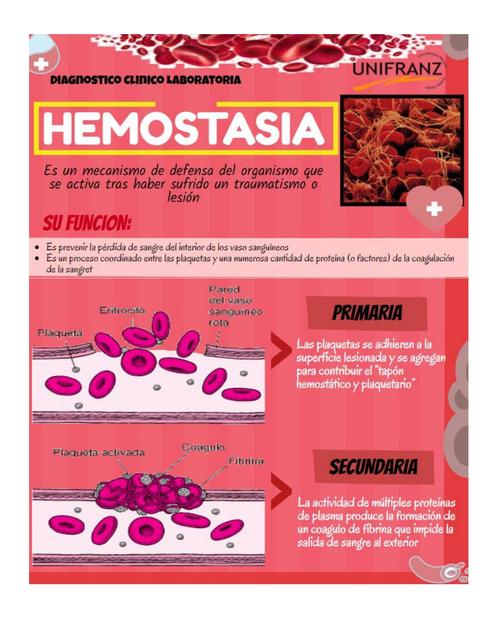 Infografía de Hemostasia