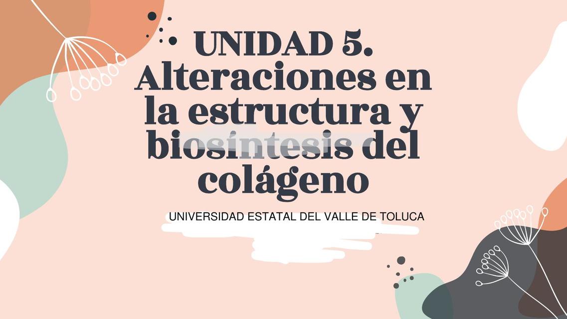 Alteraciones en la Estructura y Biosíntesis del Colágeno 