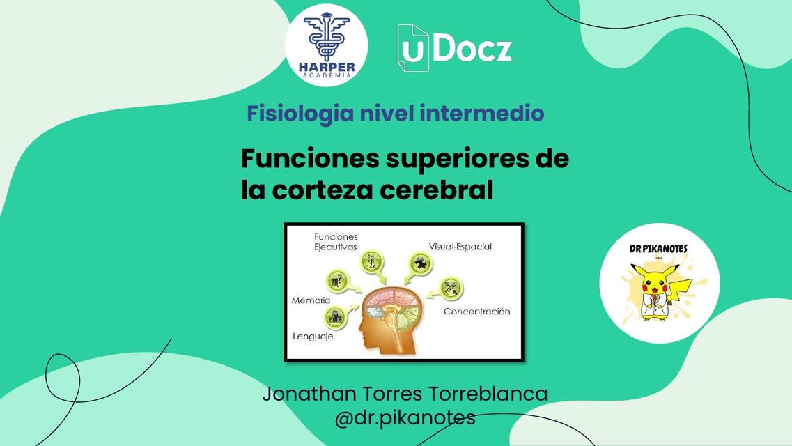 Funciones superiores de la corteza cerebral