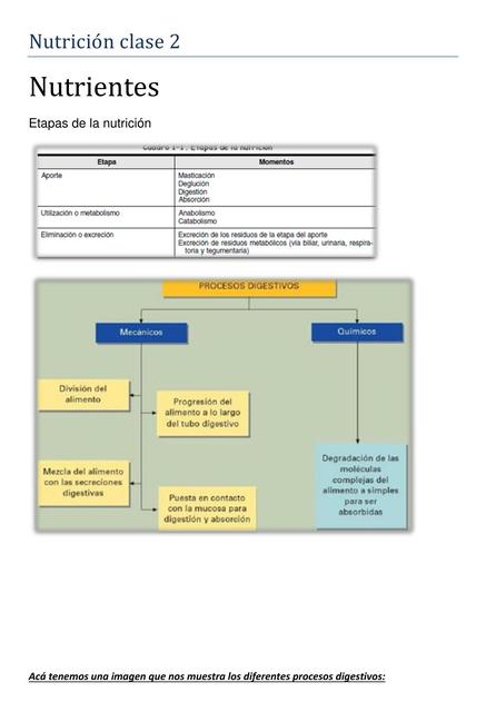 Nutrición en Enfermería 2