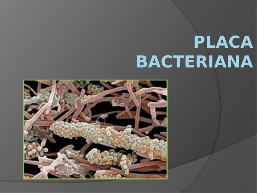 Placas Bacterianas 