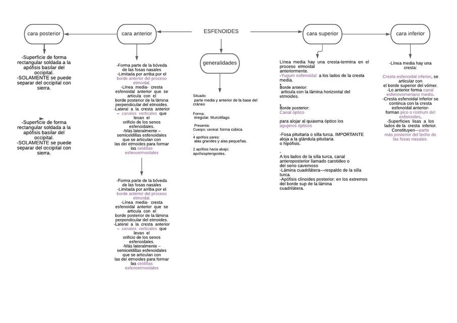 Diagrama en Blanco