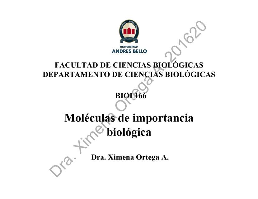 Moléculas de Importancia Biológica