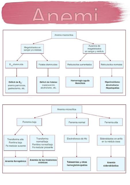 Anemia Resumen