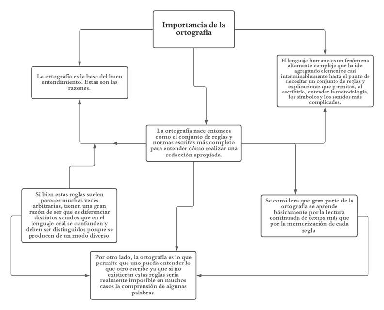 Importancia de la Ortografía